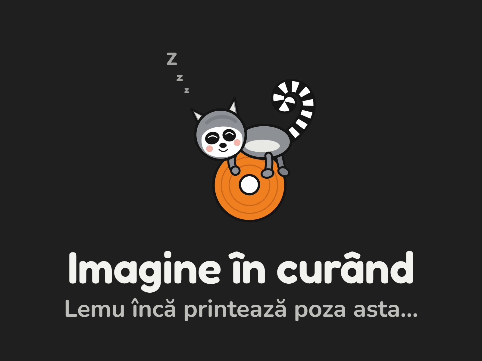 Produs disponibil în curând